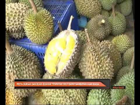 Pesta Durian Dan Buah-Buahan Tempatan 2017 dapat sambutan luar biasa