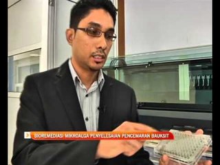 Bioremediasi mikroalga penyelesaian pencemaran bauksit