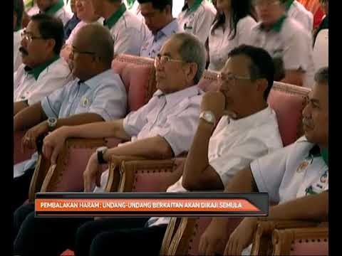 Pembalakan Haram: Undang-undang berkaitan akan dikaji semula