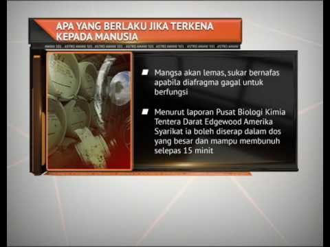 Apa itu Agen Saraf VX?