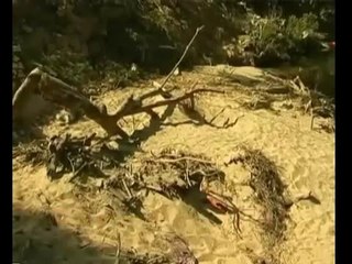 Fenomena El Nino dijangka berakhir Mei