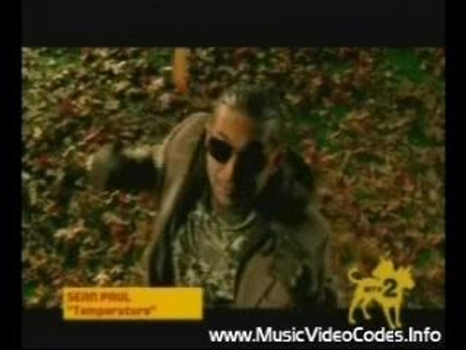 Sean Paul Temperature (Clip)
