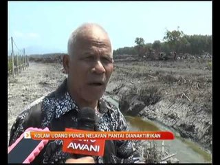 Kolam udang punca nelayan pantai dianaktirikan