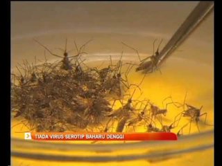 Tiada virus Serotip baharu denggi