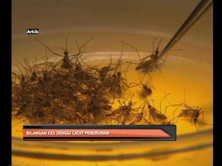 Bilangan kes denggi catat penurunan