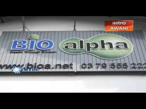 Makanan tambahan herba tempatan tembusi pasaran asing