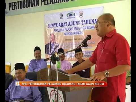 Ahli Pertubuhan Peladang dilarang tanam daum ketum