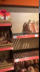 Ce rat se balade dans une boulangerie et il a l'air bien nourrit