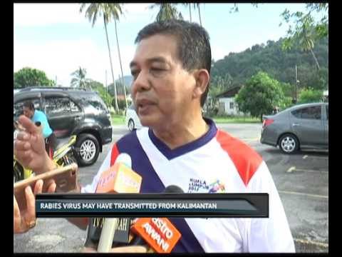 Rabies virus may have transmitted from Kalimantan