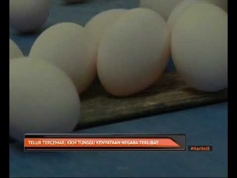 Telur tercemar: KKM tunggu kenyataan negara terlibat