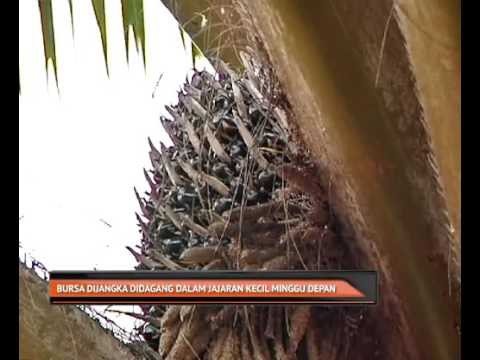 Bursa dijangka didagang dalam jajaran kecil minggu depan