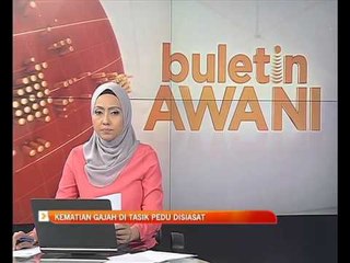 Kematian gajah di Tasik Pedu disiasat