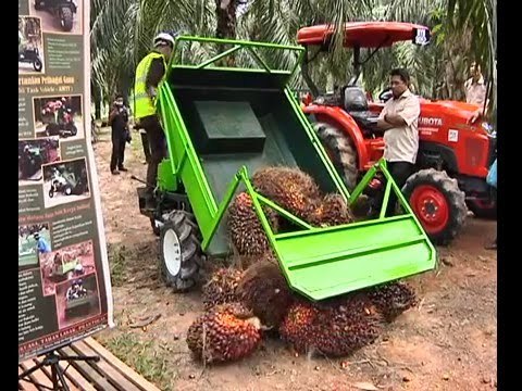 FGV, Felda tarik balik sijil RSPO di 58 kilang