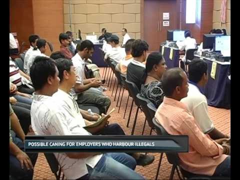 Possible caning for employers who harbour illegals