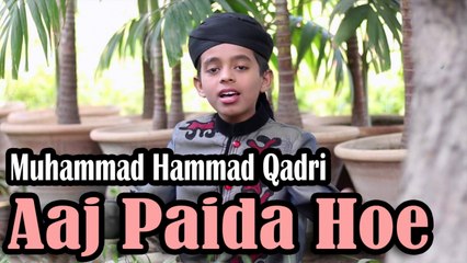 Muhammad Hammad Qadri - | Aaj Paida Hoe | Naat | Prophet Mohammad PBUH |HD