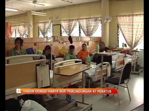 Vaksin denggi hanya beri perlindungan 47 peratus
