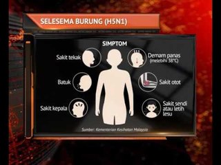 Apakah itu penyakit influenza A (H3)?