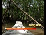 Air busuk musnah ekologi Sungai Kilim