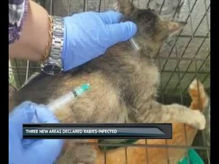 Three new areas declared rabies-infected