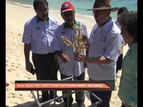 Empat negeri perlu warta taman laut masing-masing - Wan Junaidi