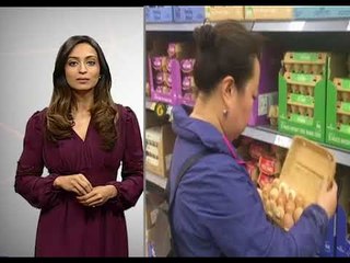 Telur di Malaysia tidak tercemar