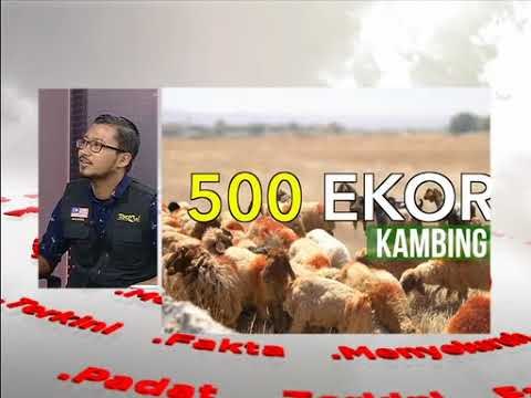 Analisis Awani: Misi kemanusiaan ibadah Qurban & Aqiqah