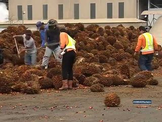 Does the Digital Free Trade Zone live up to the hype?