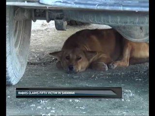 Rabies claims fifth victim in Sarawak