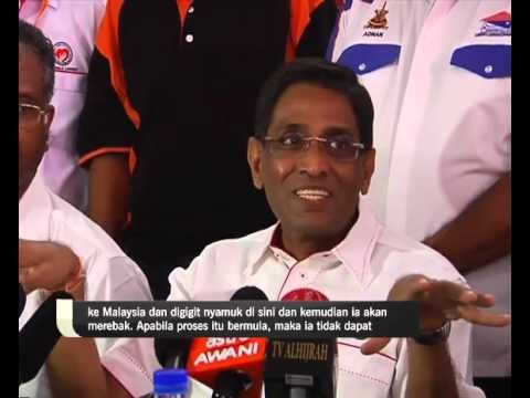 Perangi denggi langkah utama halang virus Zika