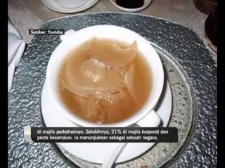 Diburu untuk hidangan mewah, populasi ikan yu terancam