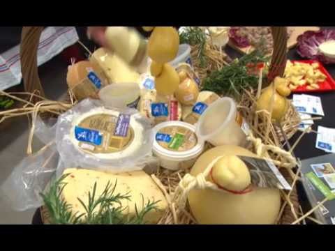 Rizal's ASEAN: Raikan hubungan Victoria-ASEAN