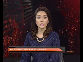 Program vaksinasi anjing besar-besaran
