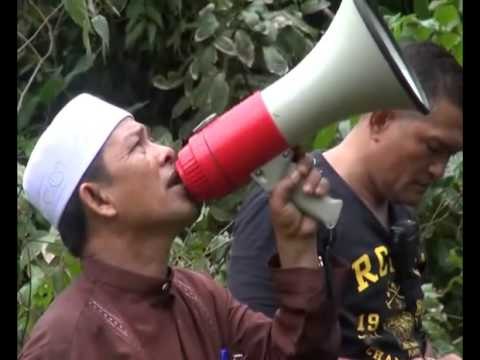 Lebih 36 jam atas pokok