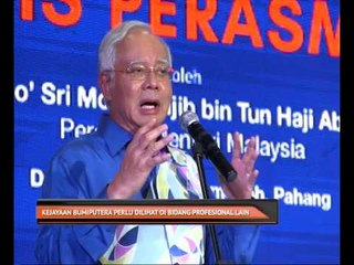 Kejayaan Bumiputera perlu dilihat di bidang profesional lain