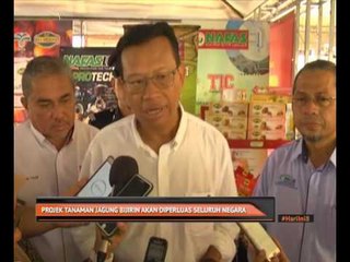 Télécharger la video: Projek tanaman jagung bijirin akan diperluas seluruh negara