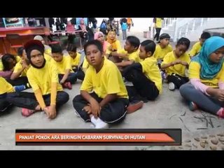 Panjat pokok ara beringin cabaran survival di hutan