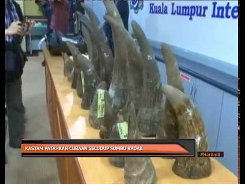 Kastam patahkan cubaan seludup sumbu badak