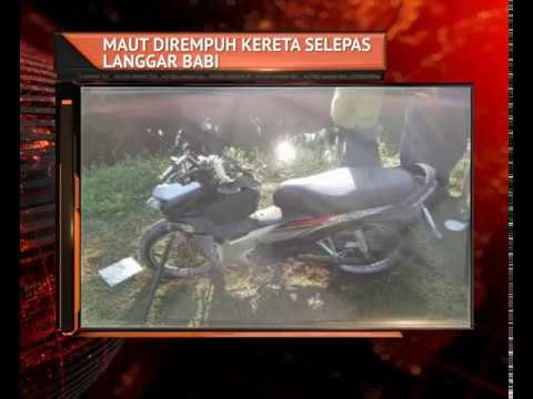 Maut dirempuh kereta selepas langgar babi