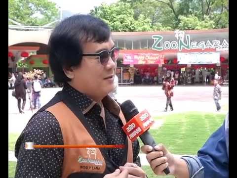 Sambut Tahun Baru Cina di Zoo Negara