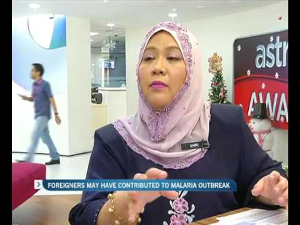 Foreigners may have contributed to malaria outbreak