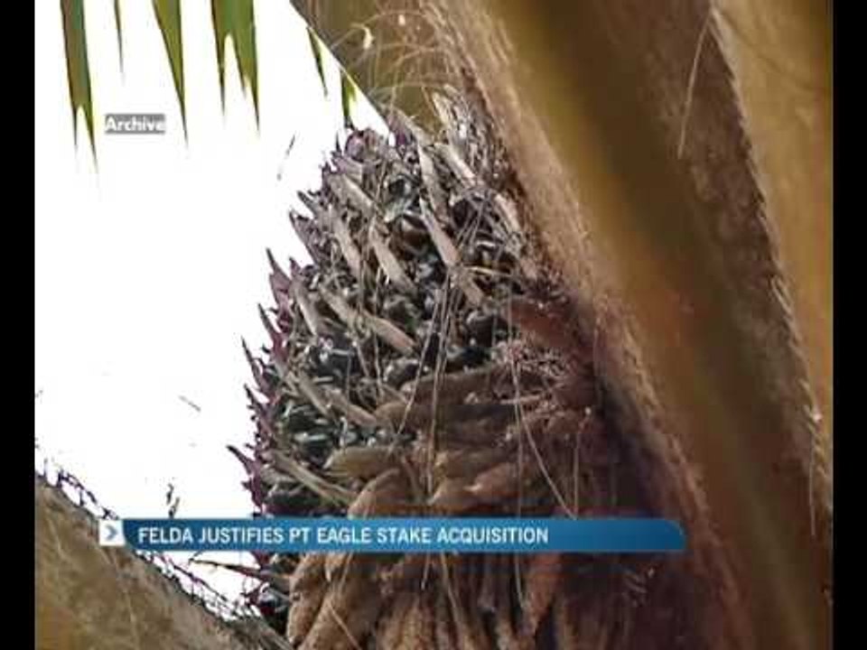 Felda justifies PT Eagle stake acquisition