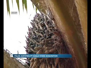 Felda justifies PT Eagle stake acquisition