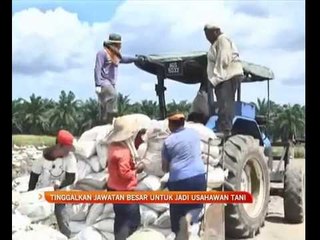 Tinggalkan jawatan besar untuk jadi usahawan tani