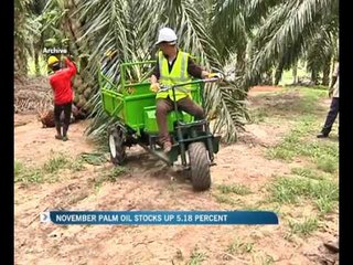 November palm oil stocks up 5.18%