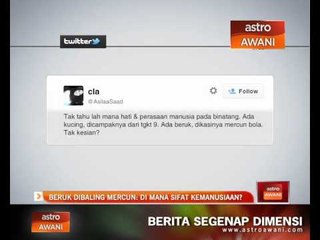 Beruk dibaling mercun: Di mana sifat kemanusiaan?