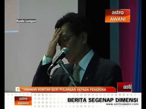 Tanaman kontan beri pulangan kepada peneroka