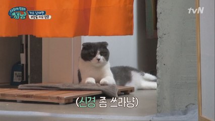 남태현, 극도의 불안! 폴리의 상태는? (나도 연예인인데ㅠㅠ)