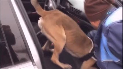 Durdurulan Araç İçerisinde 1 Kilo Uyuşturucu Madde Ele Geçirildi