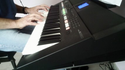 Mr Tambourine Man  ( L' Homme Orchestre ) REPRISE Country