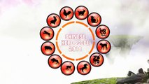 Chinese Tiger 2018 Horoscope Predictions
